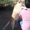 Bruno
