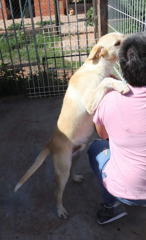 Bruno