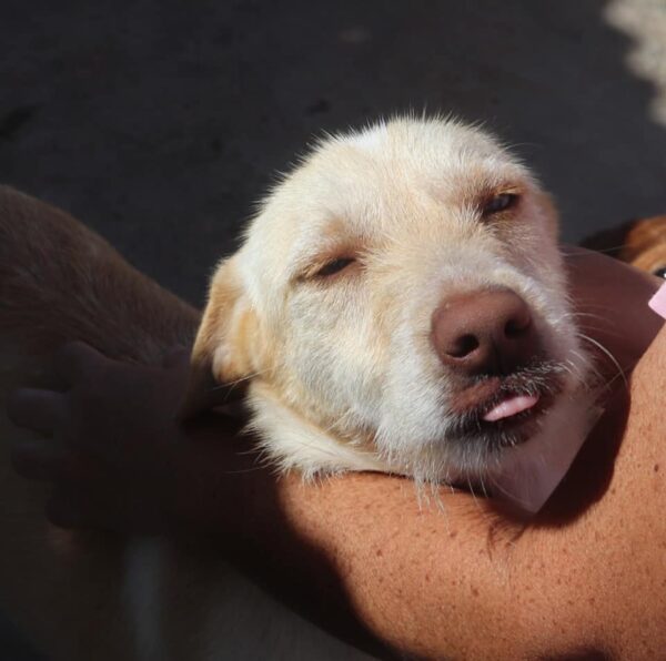 Bruno